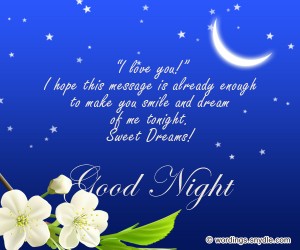 Sweet Goodnight Messages and Cute Goodnight Text Messages – Wordings ...